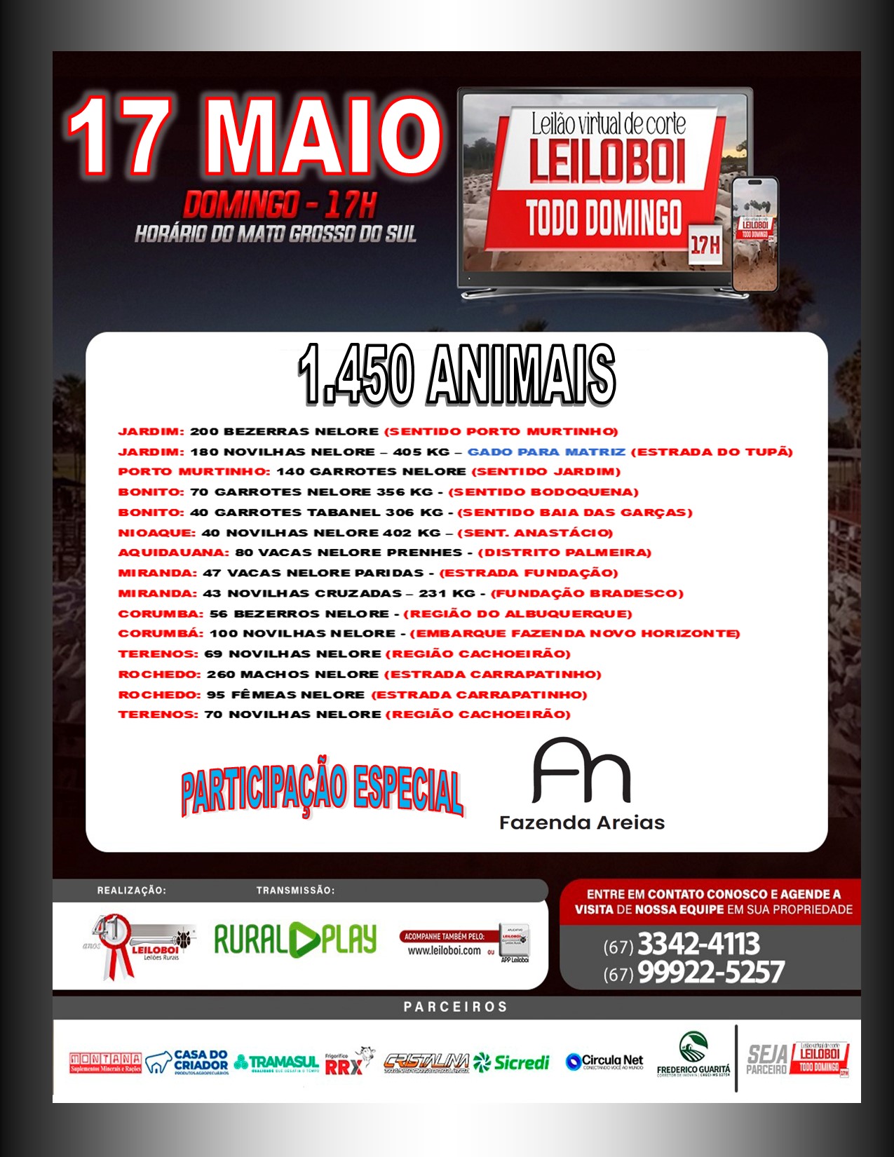 LEILÃO LEILOBOI VIRTUAL DE CORTE