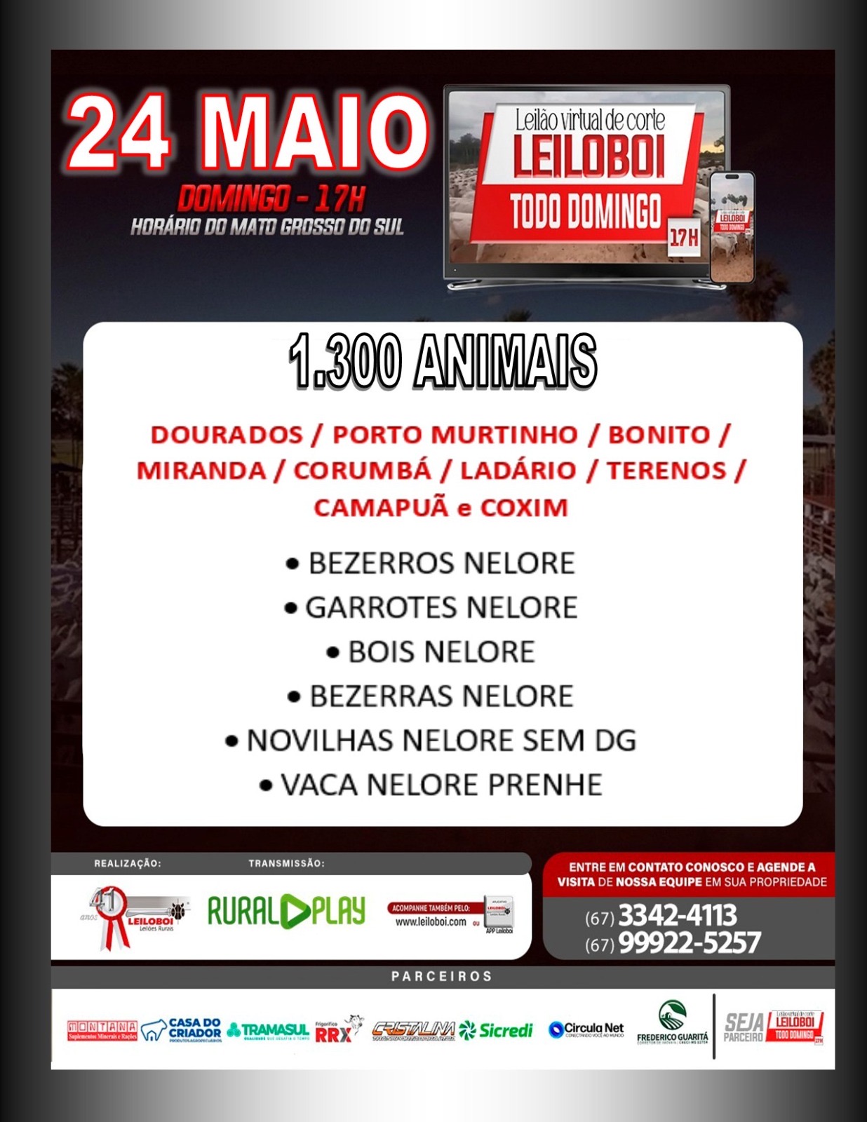 LEILÃO LEILOBOI VIRTUAL DE CORTE