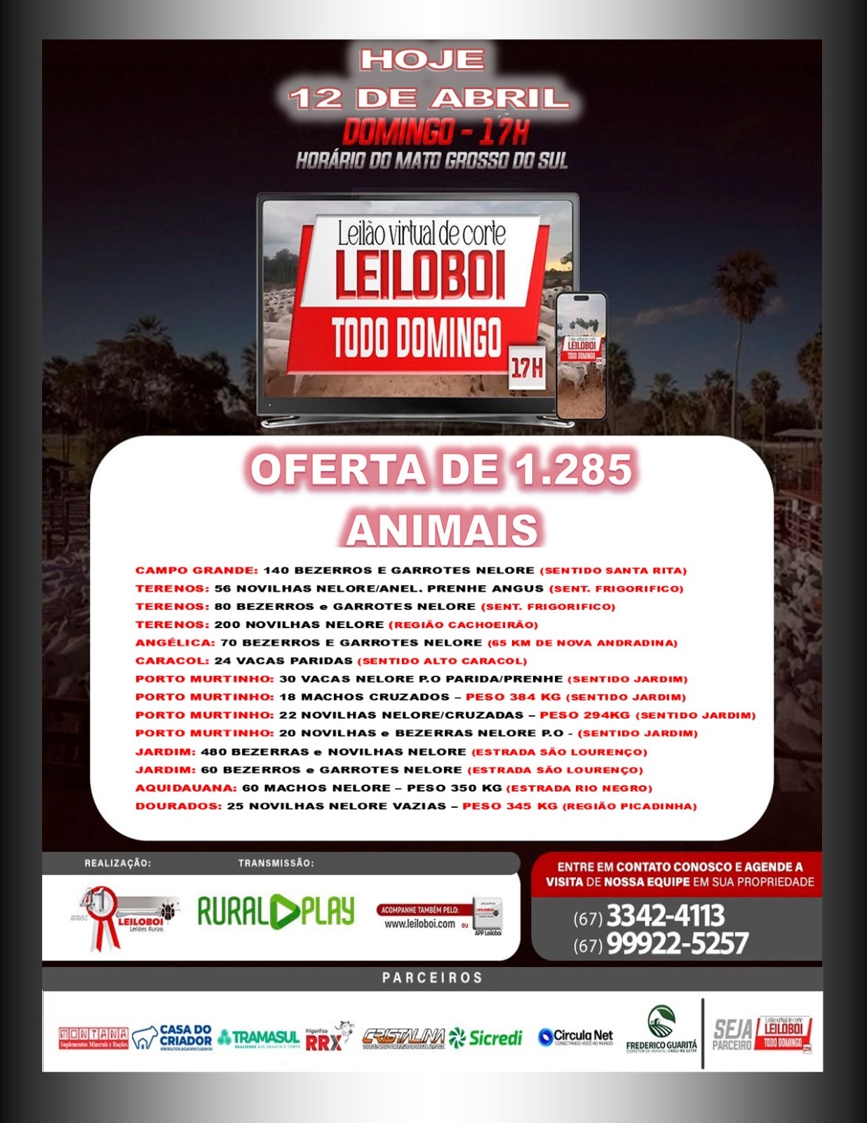 LEILÃO LEILOBOI VIRTUAL DE CORTE