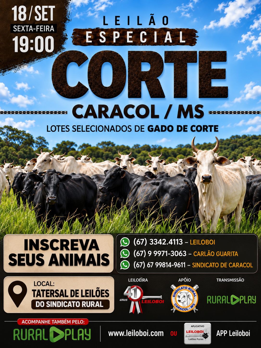 LEILÃO ESPECIAL CORTE CARACOL/MS