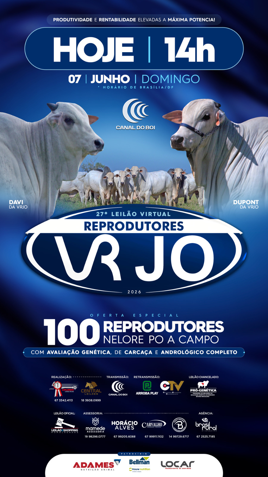 27º LEILÃO VIRTUAL REPRODUTORES VRJO