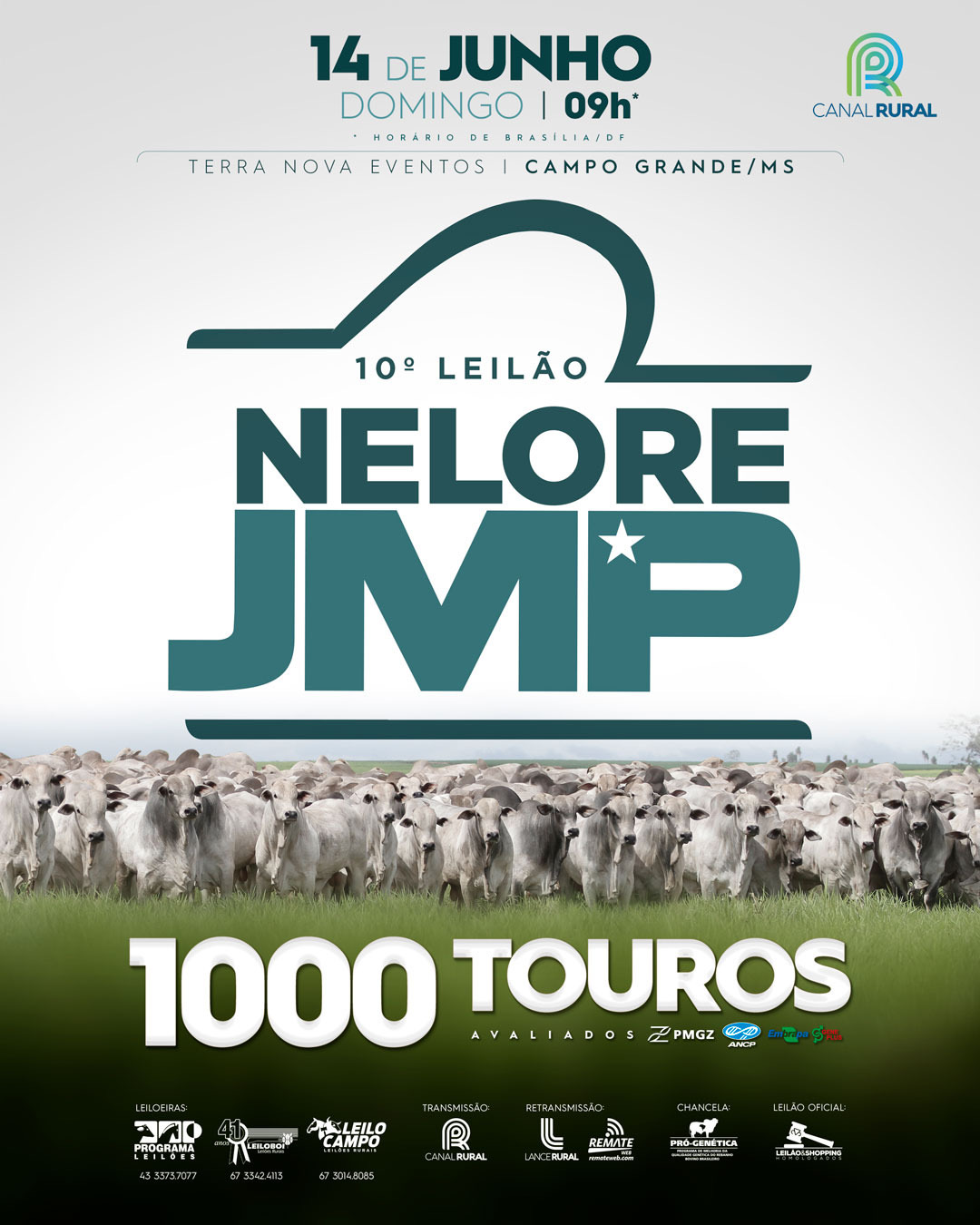 10° LEILÃO NELORE JMP - CAMPO GRANDE/MS